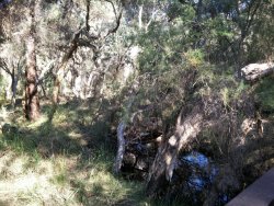 Canning3.jpg Canning3.jpg