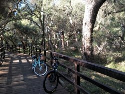 Canning2.jpg Canning2.jpg