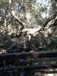 Canning1.jpg Canning1.jpg