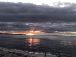 339A1BE2-0118-4047-849A-6D5FF10F1D58.jpeg 339A1BE2-0118-4047-849A-6D5FF10F1D58.jpeg