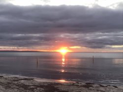 D8F3A64E-39BC-4C6D-850A-42CE7CECAB48.jpeg D8F3A64E-39BC-4C6D-850A-42CE7CECAB48.jpeg