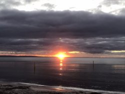 BA05DC27-F029-4513-837C-9E7DC2EBC59C.jpeg BA05DC27-F029-4513-837C-9E7DC2EBC59C.jpeg