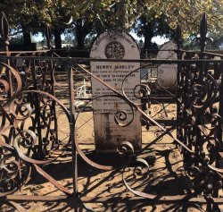 B9E08EC4-2DBF-4232-AC33-959E72718599.jpeg B9E08EC4-2DBF-4232-AC33-959E72718599.jpeg