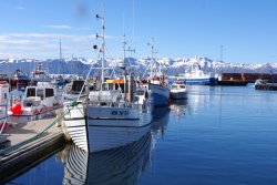 IMGP7558.JPG IMGP7558.JPG