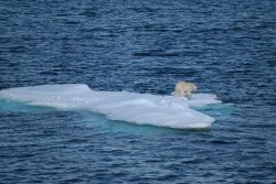 SAM_0355.JPG SAM_0355.JPG