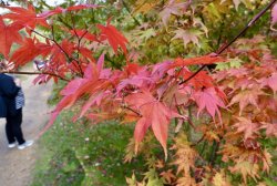 5A29573C-D723-475B-A75D-41EF4B793908.jpeg 5A29573C-D723-475B-A75D-41EF4B793908.jpeg