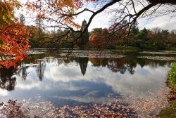 1DDF4098-6D2E-4931-B105-81376C068871.jpeg 1DDF4098-6D2E-4931-B105-81376C068871.jpeg