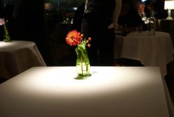 99183A9D-0C9A-4E5B-BFE9-A1946CE7CD1F.jpeg 99183A9D-0C9A-4E5B-BFE9-A1946CE7CD1F.jpeg