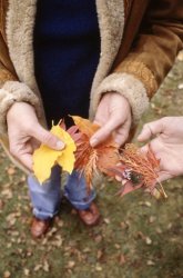 1F659A6F-F145-40F5-A9DC-0AC438EE7B4E.jpeg 1F659A6F-F145-40F5-A9DC-0AC438EE7B4E.jpeg