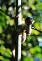 2016_07_02 (52).JPG 2016_07_02 (52).JPG