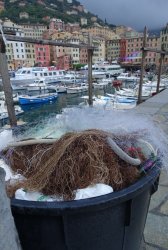 03FC3680-E531-4FF9-8306-95288FF55B8C.jpeg 03FC3680-E531-4FF9-8306-95288FF55B8C.jpeg