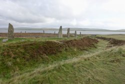 163EB9A8-1A85-4AF0-9E59-F4CF4E6867D2.jpeg 163EB9A8-1A85-4AF0-9E59-F4CF4E6867D2.jpeg