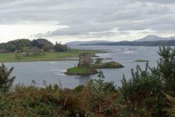 C72EFAD3-D9C7-40B2-A2C4-96D3205D60A8.jpeg C72EFAD3-D9C7-40B2-A2C4-96D3205D60A8.jpeg