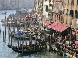 A4D8F01B-4217-4449-B4E6-6A6B9515B9D6.jpeg A4D8F01B-4217-4449-B4E6-6A6B9515B9D6.jpeg