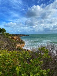 3A48F223-AD81-4E47-83A2-21EFD981E01D.jpeg 3A48F223-AD81-4E47-83A2-21EFD981E01D.jpeg