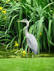 DSC04251.JPG DSC04251.JPG