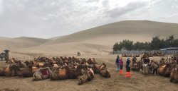 IMG_2041.JPG IMG_2041.JPG