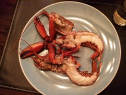 Marron2.jpg Marron2.jpg