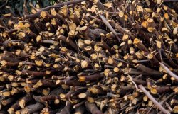 39240965-891D-4C91-ADEB-652298F3B47E.jpeg 39240965-891D-4C91-ADEB-652298F3B47E.jpeg