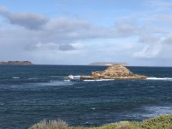 13D45487-D006-483B-B270-B8D887B7CD7C.jpeg 13D45487-D006-483B-B270-B8D887B7CD7C.jpeg