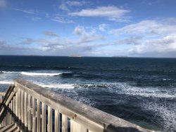 D8234E12-2602-4116-888C-06FFBA38D41C.jpeg D8234E12-2602-4116-888C-06FFBA38D41C.jpeg