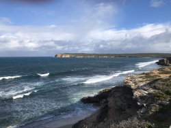 4BD3080F-1223-413D-AC4B-27CB79F41D10.jpeg 4BD3080F-1223-413D-AC4B-27CB79F41D10.jpeg