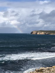 FBCE1C1A-F3C1-4C78-9F6D-FFA1695A65B0.jpeg FBCE1C1A-F3C1-4C78-9F6D-FFA1695A65B0.jpeg