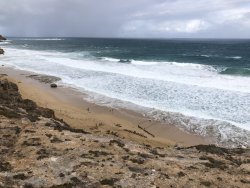 3715672E-AEB2-441F-B32F-3188CF058FBF.jpeg 3715672E-AEB2-441F-B32F-3188CF058FBF.jpeg