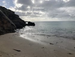 6FC92733-F7C0-436A-BDF4-0D0947EA4A9B.jpeg 6FC92733-F7C0-436A-BDF4-0D0947EA4A9B.jpeg