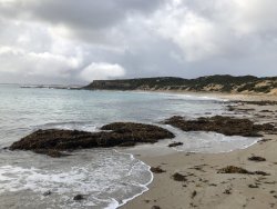 E8F20C5C-0423-4E8F-9993-4643CB6E5535.jpeg E8F20C5C-0423-4E8F-9993-4643CB6E5535.jpeg