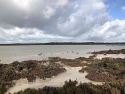 79FDE69A-DB3C-4164-8232-3A6E83B38D6A.jpeg 79FDE69A-DB3C-4164-8232-3A6E83B38D6A.jpeg