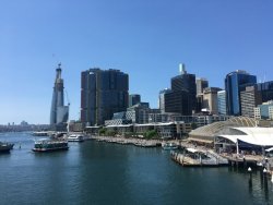 DF11A360-D5D1-4906-A017-086B654BD3D0.jpeg