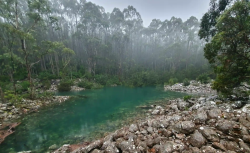 1593166629970.png 1593166629970.png