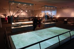 DSC02845.JPG DSC02845.JPG