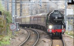 IMG_0901-2.JPG IMG_0901-2.JPG