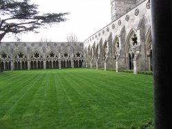 IMG_0952.JPG IMG_0952.JPG