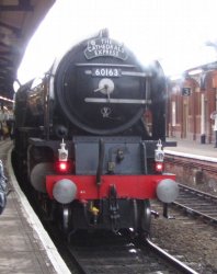 IMG_0959-2.JPG IMG_0959-2.JPG