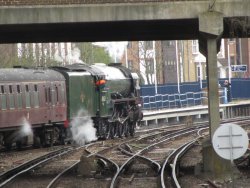 IMG_0921.JPG IMG_0921.JPG