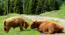 1593482876841.png 1593482876841.png