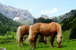 1593482906455.png 1593482906455.png