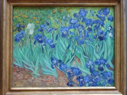 P1030252.JPG P1030252.JPG