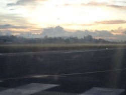 1593776219233.jpeg 1593776219233.jpeg