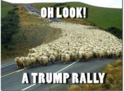 Screen Shot 2020-07-05 at 9.16.31 am.png Screen Shot 2020-07-05 at 9.16.31 am.png