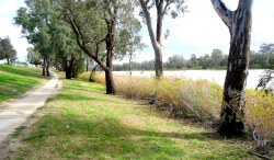 1594173951323.png 1594173951323.png