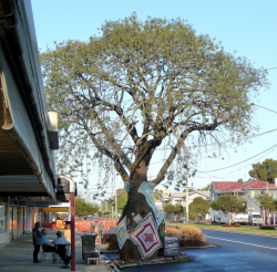 1594259768703.png 1594259768703.png