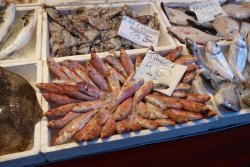 DSC03289.JPG DSC03289.JPG