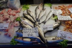 DSC03294.JPG DSC03294.JPG