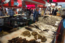 DSC03297.JPG DSC03297.JPG