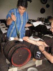 IMG_6436.JPG IMG_6436.JPG