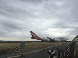 4B8E68C2-5416-4653-B247-7E21170D9C0C.jpeg 4B8E68C2-5416-4653-B247-7E21170D9C0C.jpeg